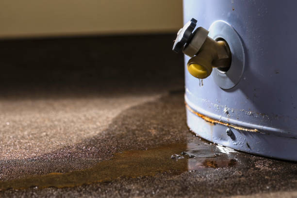Best Water damage cleanup near me  in East Dundee, IL