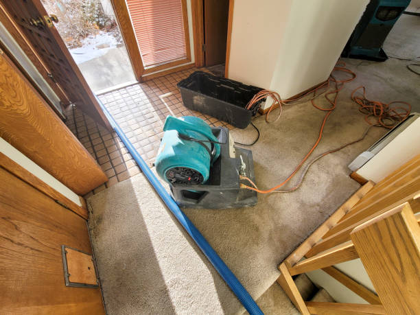 Best Sewage cleanup and water damage restoration  in East Dundee, IL