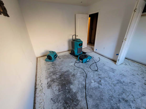 Best 24/7 water damage repair  in East Dundee, IL