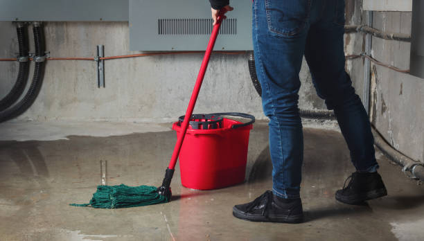 Best Professional water damage repair  in East Dundee, IL