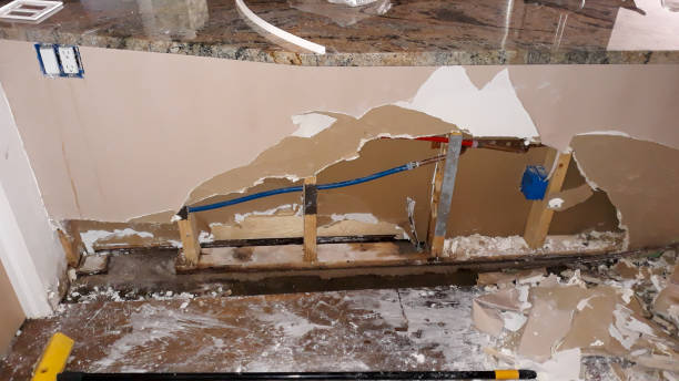 Best Basement water damage restoration  in East Dundee, IL