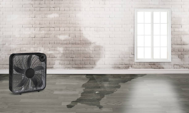 Water damage restoration process in IL