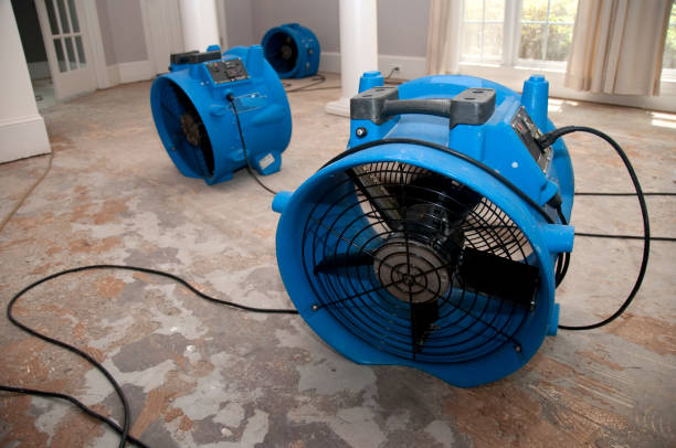 Best Flooded house restoration  in East Dundee, IL