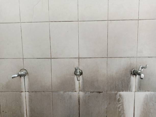 Best Carpet water damage restoration  in East Dundee, IL