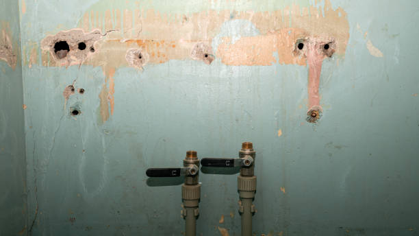 Best Water damage restoration near me  in East Dundee, IL