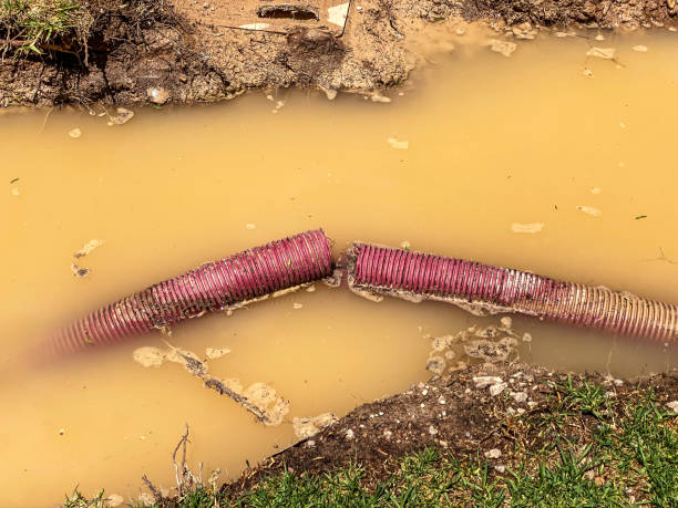 Professional Water damage restoration in IL