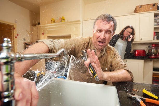 Best Commercial water damage restoration  in East Dundee, IL